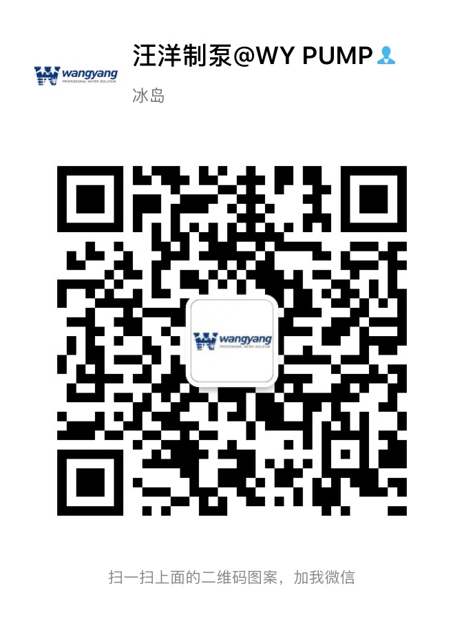 17327729166
